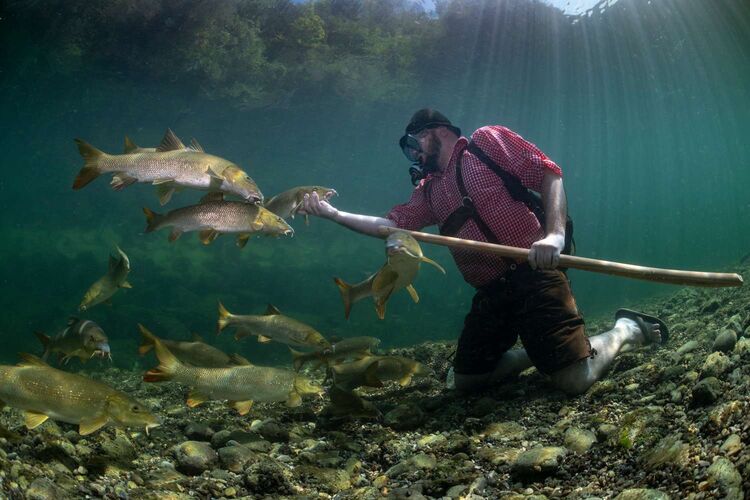 Trachtenvoting - Franz aus Ried