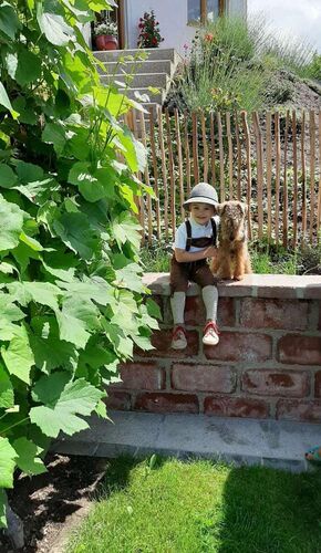 Trachtenvoting - Franziska aus Perg