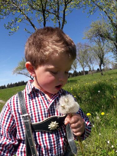 Trachtenvoting - Ben aus Grieskirchen