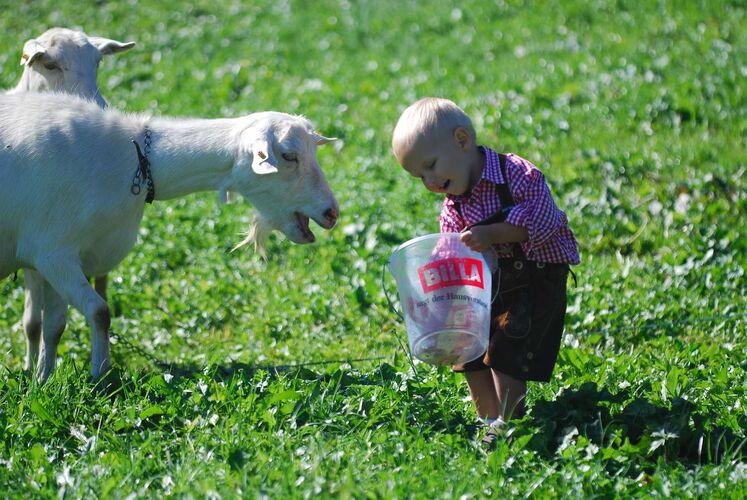 Trachtenvoting - Florian  aus Steyr