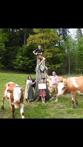 Trachtenvoting - Elisabeth aus Vöcklabruck