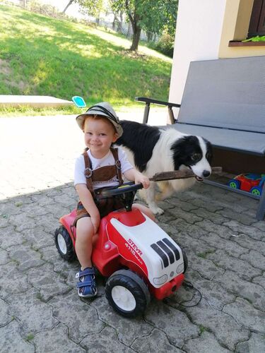 Trachtenvoting - Karl aus Melk