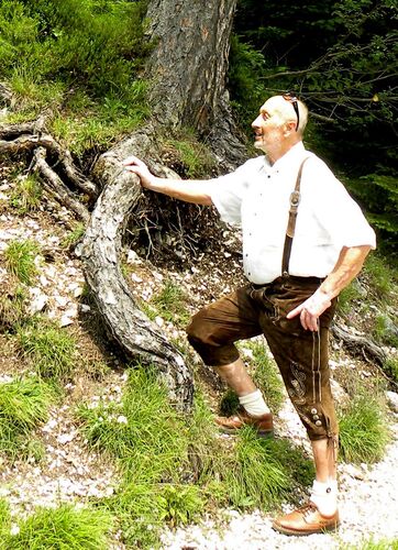 Trachtenvoting - Horst aus Linz