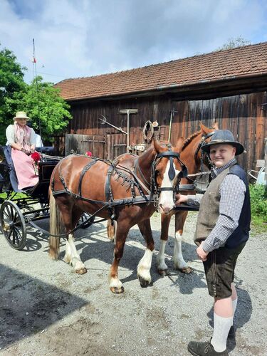 Trachtenvoting - Carola aus Grieskirchen