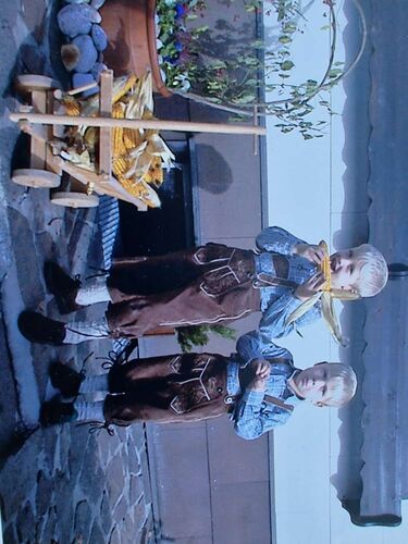 Trachtenvoting - Petra aus Vöcklabruck