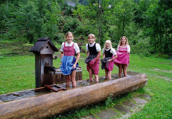 Trachtenvoting - Herbert aus Gmunden