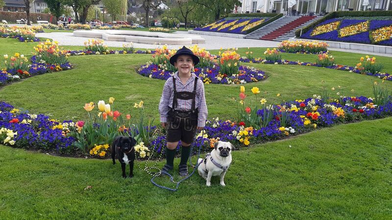 Trachtenvoting - Susanne aus Gmunden