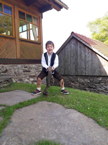 Trachtenvoting - Renate aus Amstetten