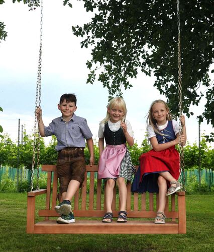 Trachtenvoting - Claudia aus Perg