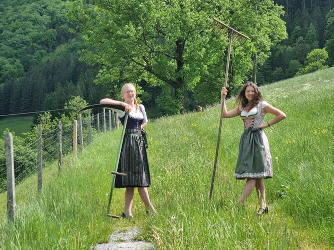 Trachtenvoting - Karin aus Steyr