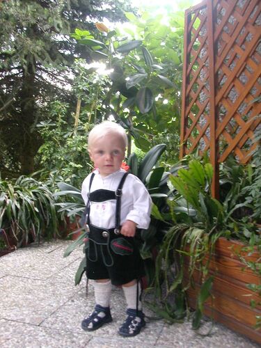 Trachtenvoting - Helmuth aus Schärding