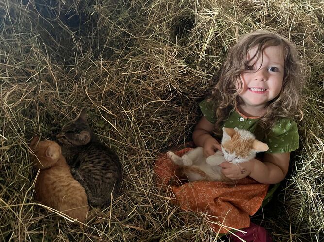 Trachtenvoting - Elisabeth aus Vöcklabruck