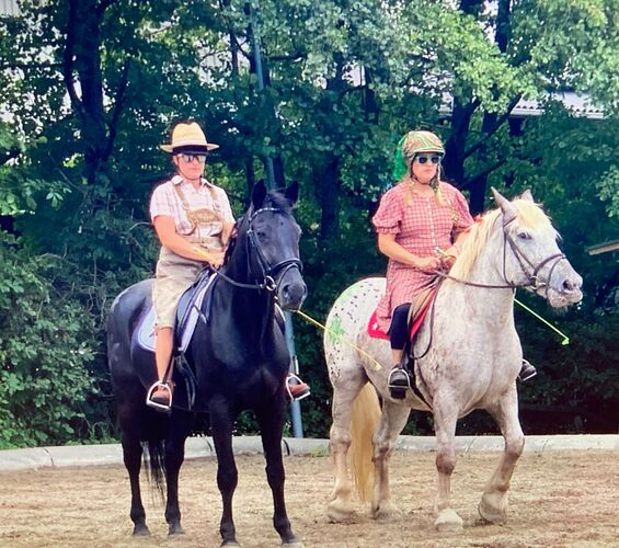 Trachtenvoting - Maria aus Amstetten