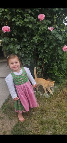 Trachtenvoting - Theresia aus Vöcklabruck