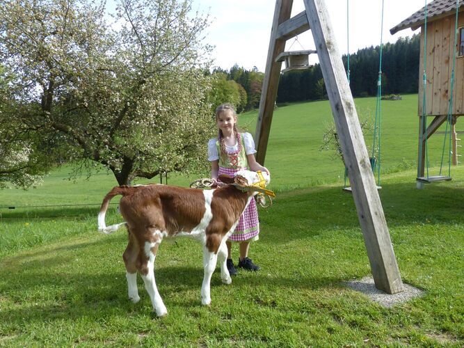 Trachtenvoting - Michaela aus Freistadt