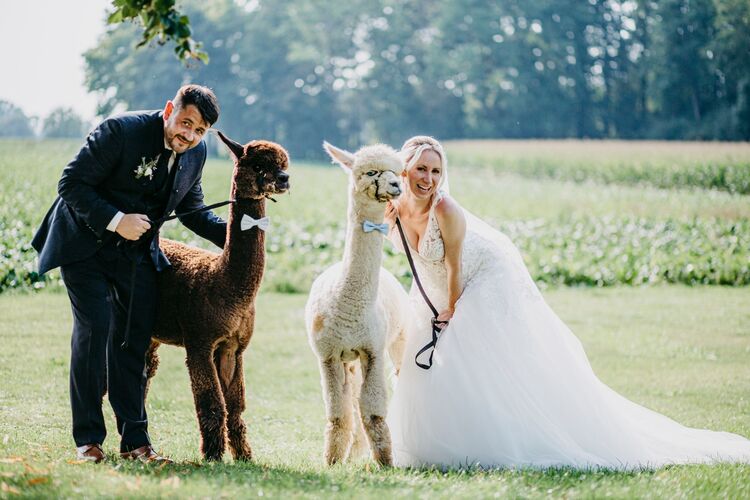 Traumpaar 2019 - Marlene & Jürgen aus Urfahr-Umgebung