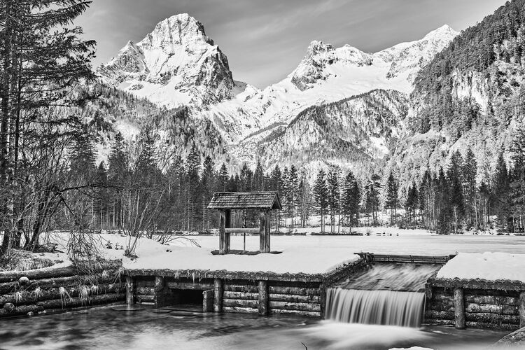 Van Gogh Kreativwettbewerb - Nina aus Linz-Land