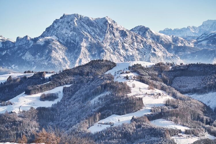 Van Gogh Kreativwettbewerb - Alexa aus Linz-Land
