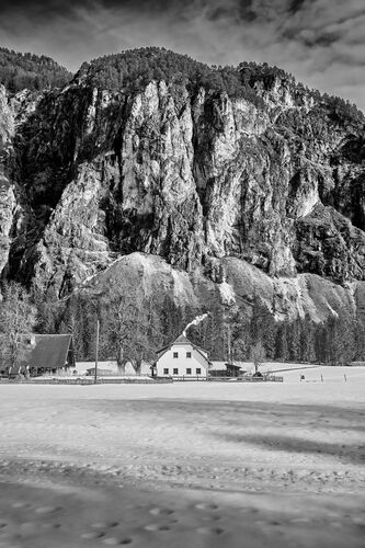 Van Gogh Kreativwettbewerb - Jonas aus Linz-Land