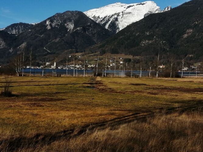 Van Gogh Kreativwettbewerb - Monika aus Freistadt