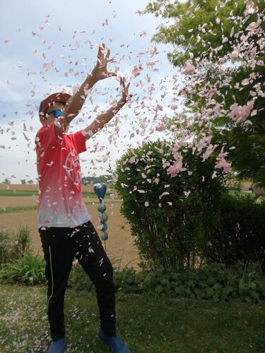 Van Gogh Kreativwettbewerb - Erika aus Perg