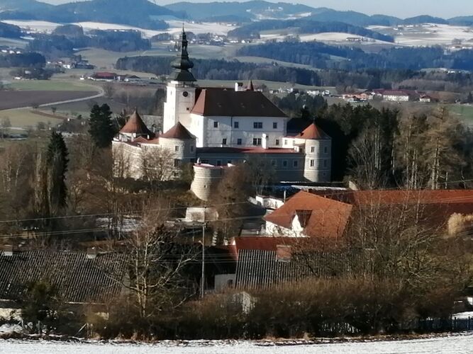 Van Gogh Kreativwettbewerb - Martin aus Freistadt