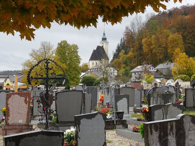 Van Gogh Kreativwettbewerb - Gertrud aus Vöcklabruck