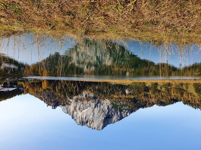 Van Gogh Kreativwettbewerb - Barbara aus Urfahr-Umgebung