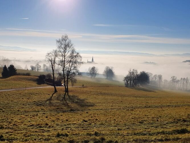Van Gogh Kreativwettbewerb - Guenther aus Urfahr-Umgebung
