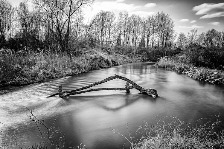 Van Gogh Kreativwettbewerb - Claudia aus Eferding
