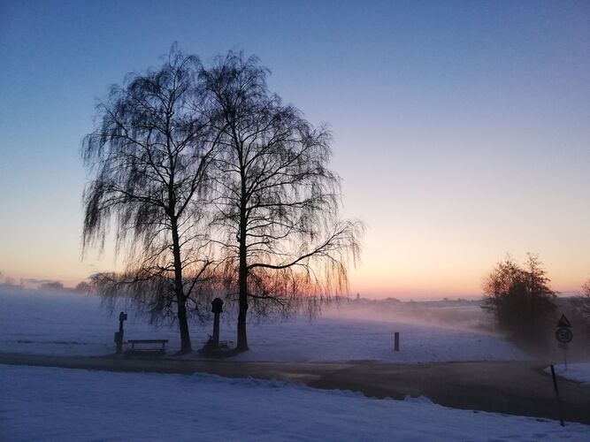 Van Gogh Kreativwettbewerb - Wolfgang  aus Enns