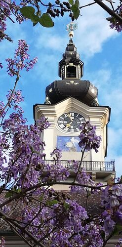 Van Gogh Kreativwettbewerb - Anna aus Linz