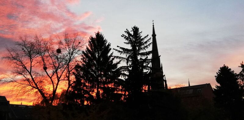 Van Gogh Kreativwettbewerb - Anna aus Linz