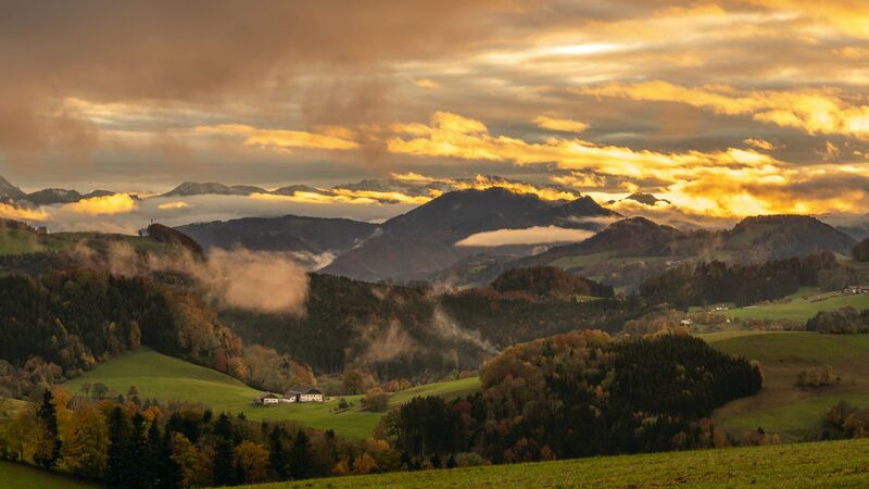 Van Gogh Kreativwettbewerb - Erwin aus Steyr