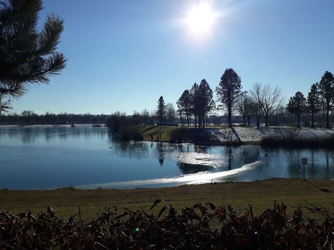 Van Gogh Kreativwettbewerb - Claudia aus Linz