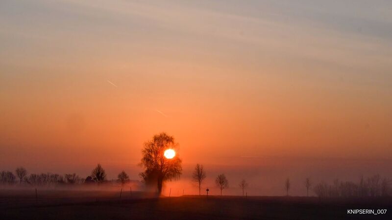 Van Gogh Kreativwettbewerb - Julia Stephanie  aus Perg