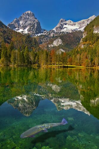 Van Gogh Kreativwettbewerb - Sepp aus Steyr