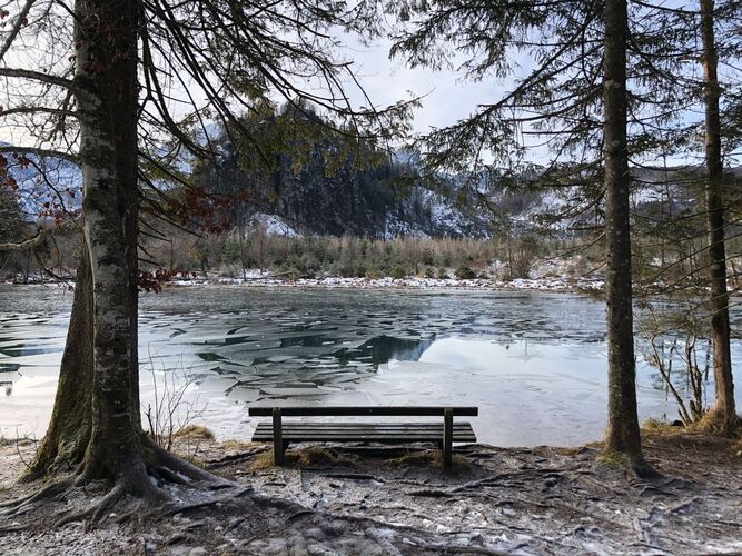 Van Gogh Kreativwettbewerb - Katharina  aus Enns