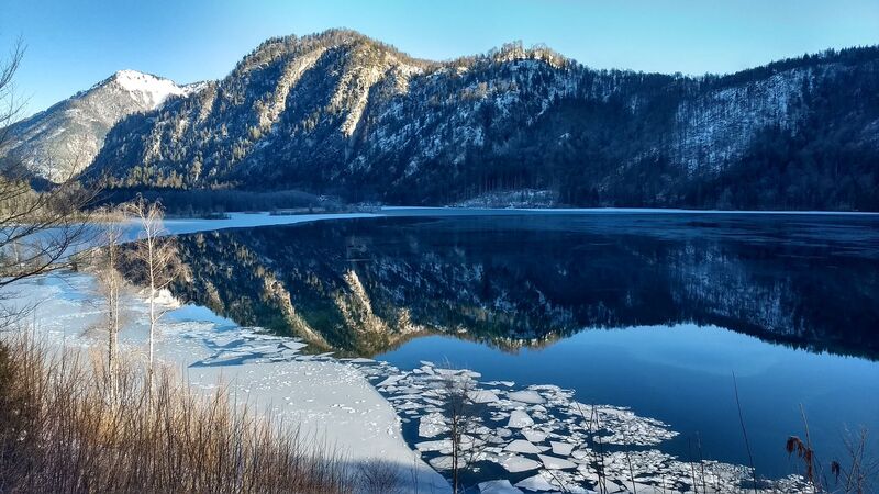 Van Gogh Kreativwettbewerb - Daniel aus Enns