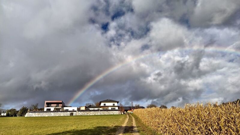 Van Gogh Kreativwettbewerb - Helga aus Linz-Land