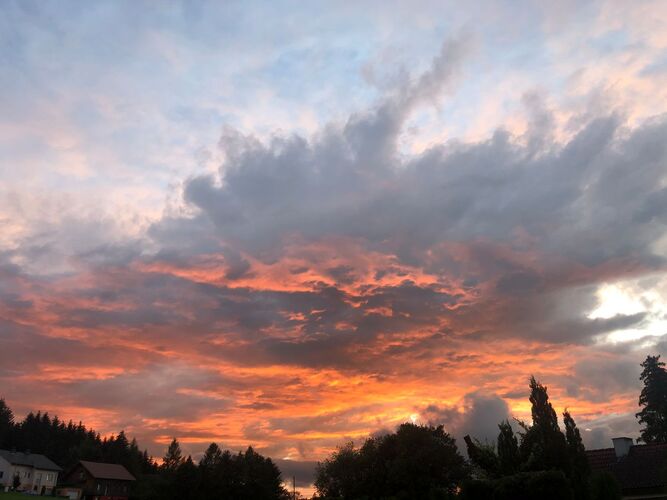 Van Gogh Kreativwettbewerb - Steindl  aus Perg