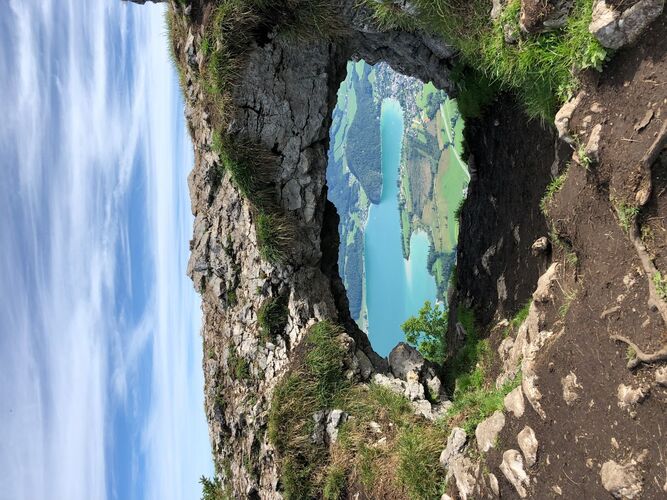 Van Gogh Kreativwettbewerb - Stefanie aus Perg