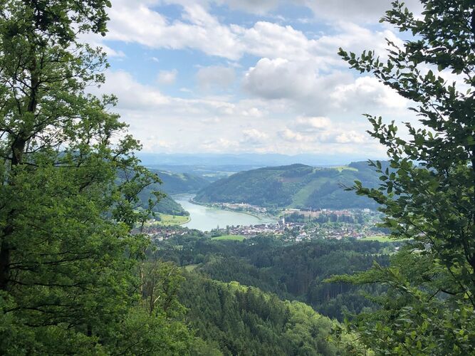 Van Gogh Kreativwettbewerb - Karin aus Perg