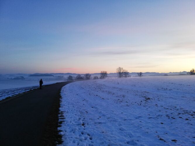 Van Gogh Kreativwettbewerb - Susanne aus Enns