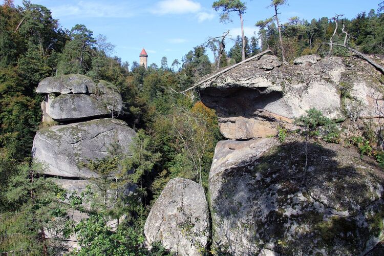 Van Gogh Kreativwettbewerb - Helmut aus Perg