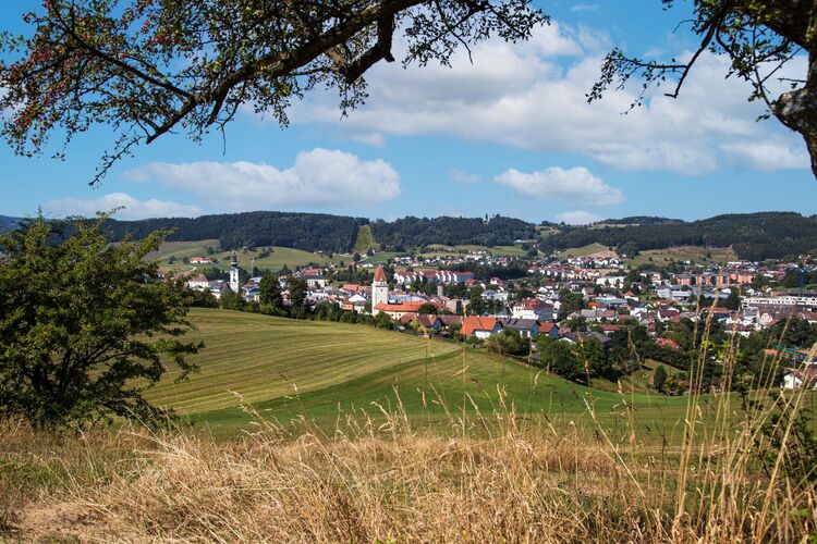 Van Gogh Kreativwettbewerb - Karl aus Linz-Land