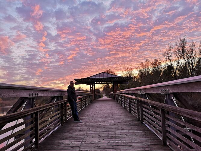 Van Gogh Kreativwettbewerb - Manuela  aus Linz
