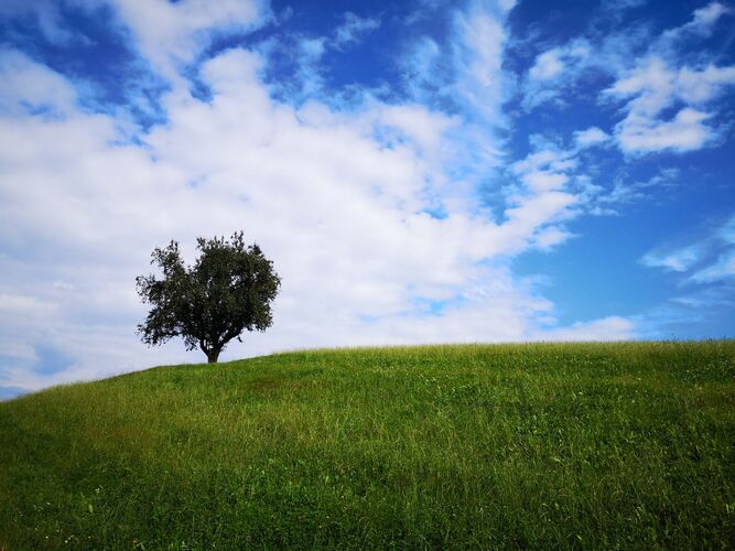 Van Gogh Kreativwettbewerb - Manuela aus Linz