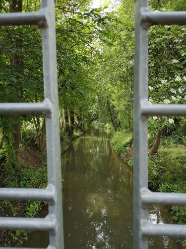 Van Gogh Kreativwettbewerb - Manuela aus Linz