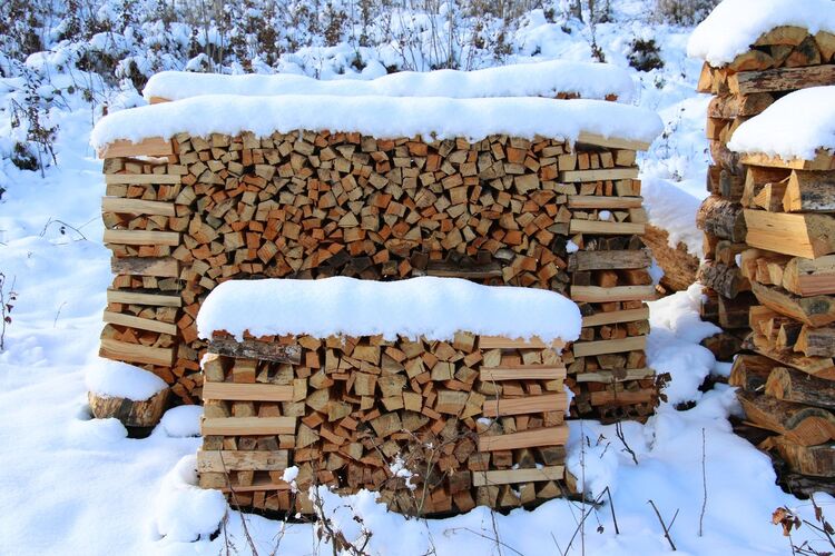 Van Gogh Kreativwettbewerb - Helmut aus Perg